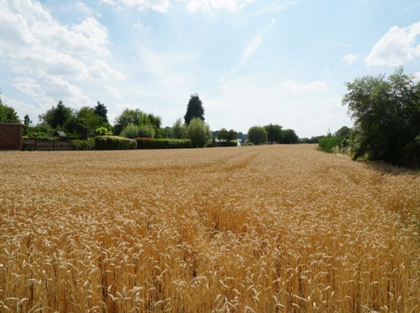 Rustig gelegen perceel bouwgrond van 6 are 10 ca voor half-open-bebouwing.&amp;nbsp;<br />
Zuid-west georiënteerd.<br />
Perceelbreedte circa 11,9m vooraa