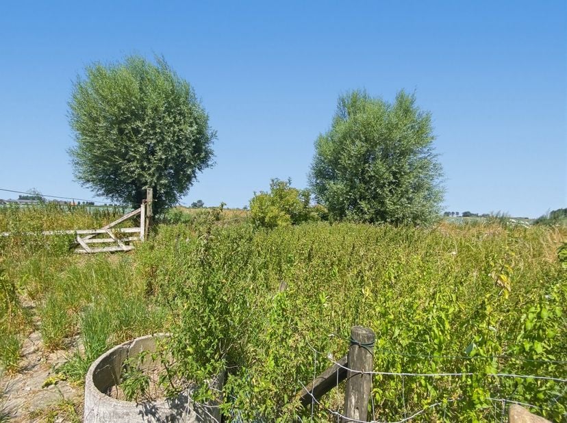 KIJKDAG ZATERDAG 08/08 VAN 10U TOT 12U! (graag vooraf inschrijven) Authentieke hoeve met bijgebouwen en prachtige verzichten in Houtem (Veurne)<br />