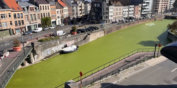 Appartement te huur in Leiekaai 1 bus 302, 9000 Gent