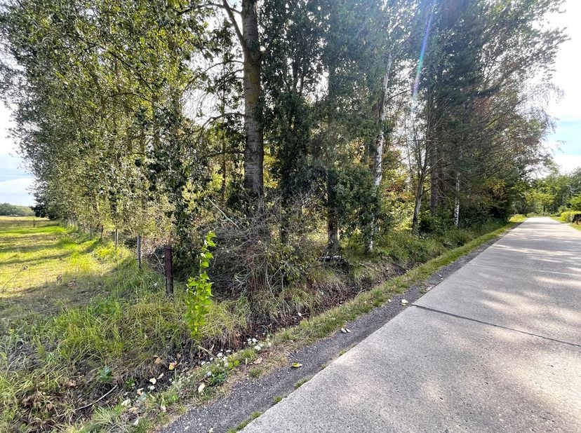 Grond te koop in Pachterslei,
                    2223 Schriek
