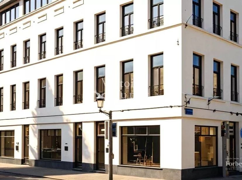 Profitez d'une excellente situation, entre le square du Luxembourg et le quartier de la Place Flagey, avec le nouveau projet Â EUROCROWN Â et ses espa