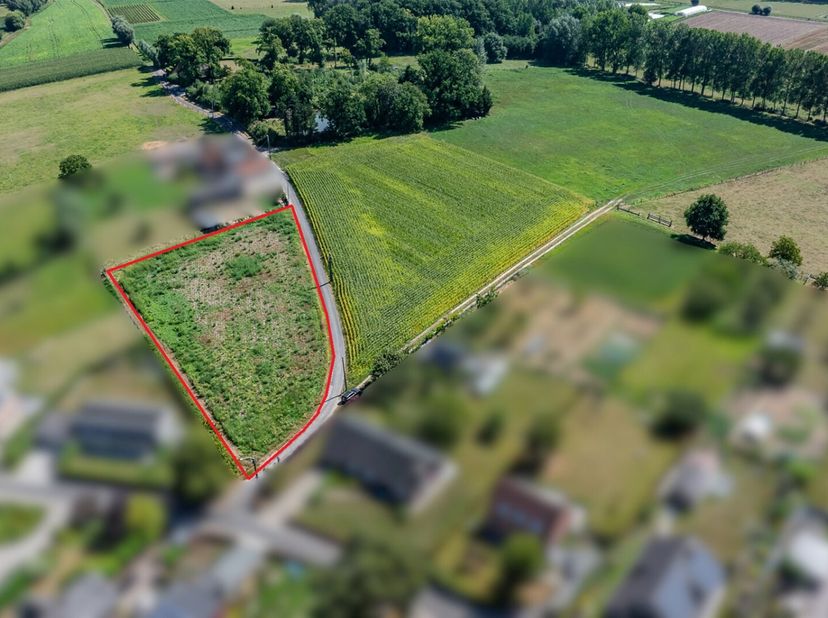 Terrain à vendre
                    à 9660 Michelbeke