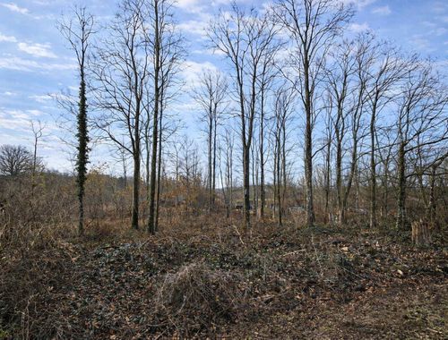                                         Bouwgrond te koop in Roly, € 58.000
