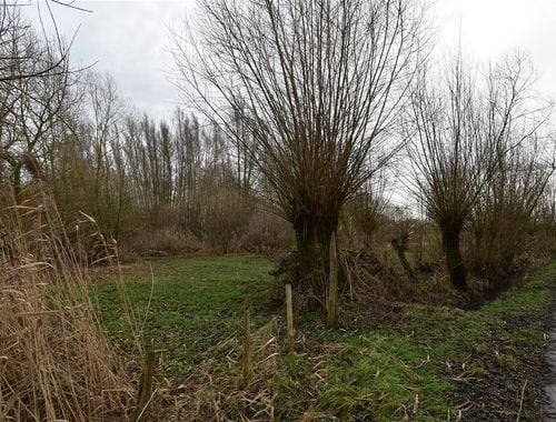                                         Grond te koop in Appels, € 39.000
