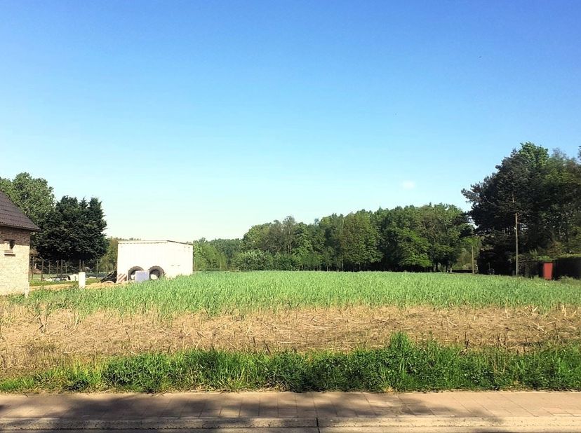 Spacieux terrain à bâtir (2544m²) ouvert à la construction à Baal.<br />
<br />
Vous êtes à la recherche d'un grand terrain à bâtir ouvert à la cons