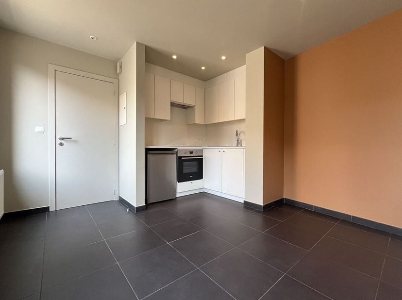 Mooie, volledig gerenoveerde flat in het centrum van Antoing, dicht bij alle voorzieningen.<br />
De woning heeft een bewoonbare oppervlakte van ongev