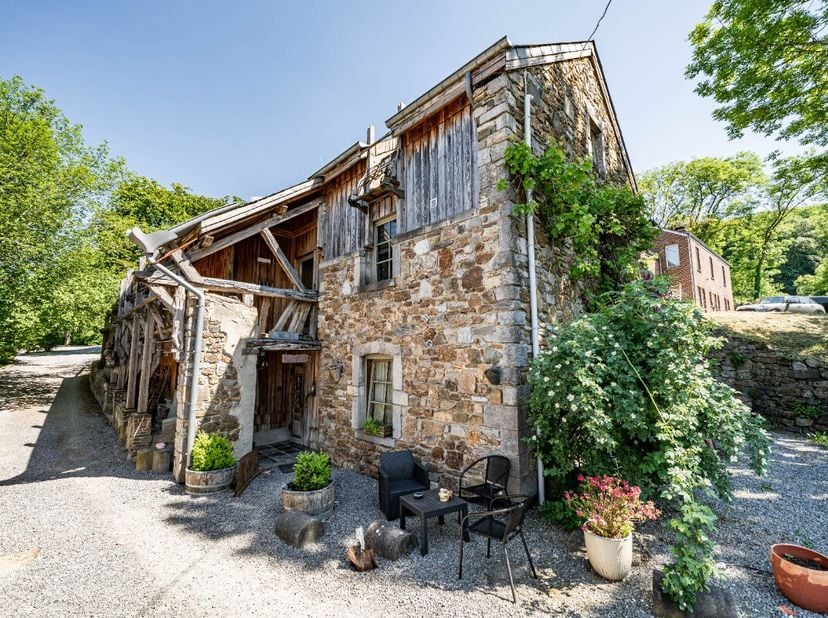 Bien professionnel à vendre à Rowe dè Rèmoleû 20,
                    6941 Heyd