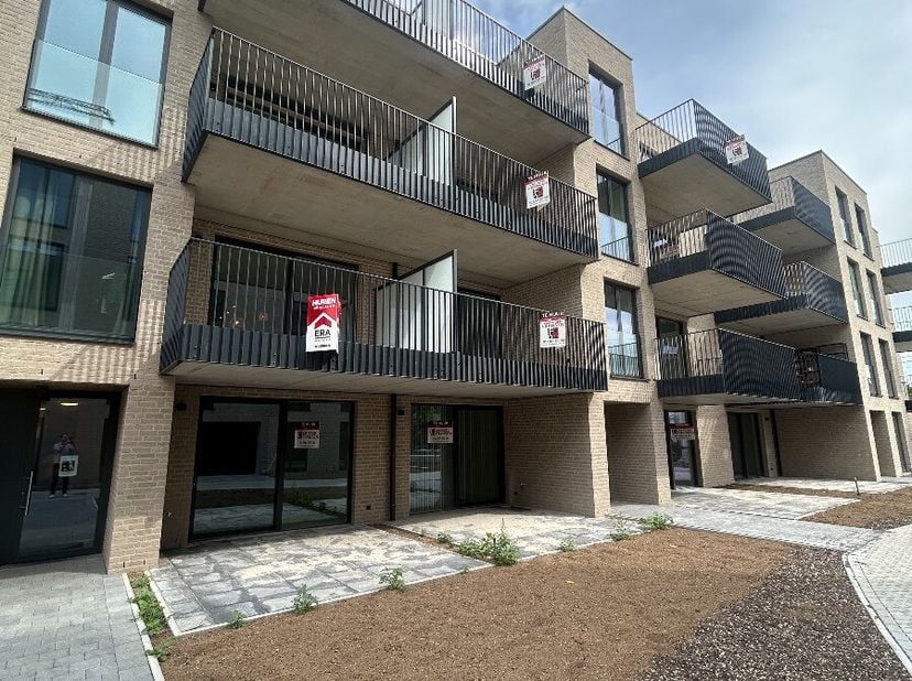 Appartement à louer
                    à 3910 Neerpelt