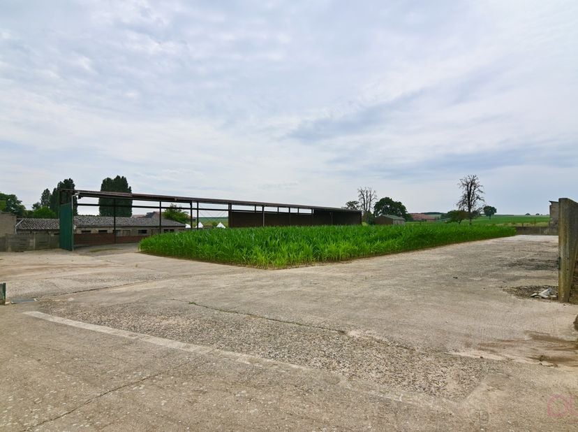 Deze hoevewoning inclusief grote veestal en open schuur is gelegen in de Haspengouwlaan 13, Heers, op een zuidelijk georiënteerd perceel van 69a20ca i