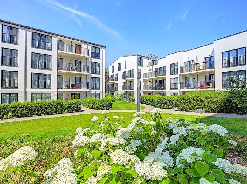 Op een rustige locatie, vlak bij de Avenue Paul Hymans, bevindt zich dit prachtige gelijkvloerse appartement in een recent gebouw. Met een bewoonbare