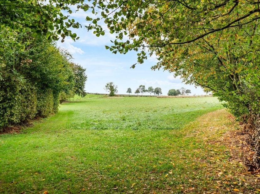 Grond te koop in chemin des champs mayet 15,
                    6840 Hamipré
