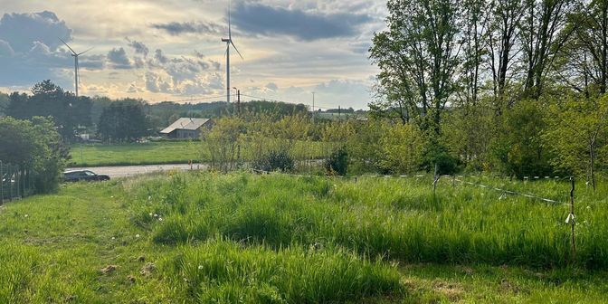 Grond te koop in Oude Tiensebaan, 3460 Bekkevoort