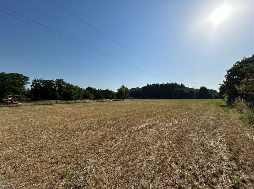 Grond te koop in Weg Messelbroek n.t.b,
                    3271 Zichem