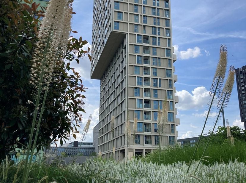 Appartement neuf de luxe situé au 20e étage, offrant une vue à 270 degrés sur Anvers, le parc Spoor Noord, l'Eilandje et les docks. Le salon lumineux
