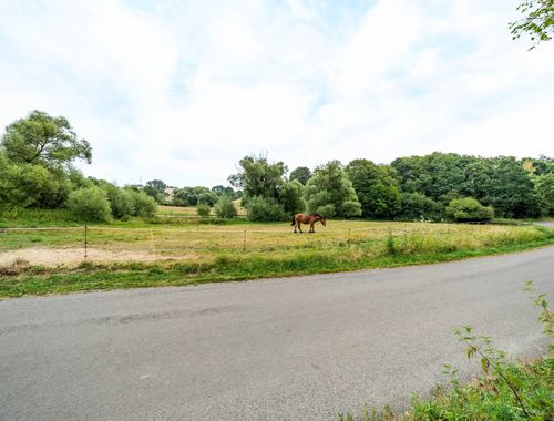                                         Terrain à bâtir à vendre à La Roche-en-Ardenne, € 69.000
