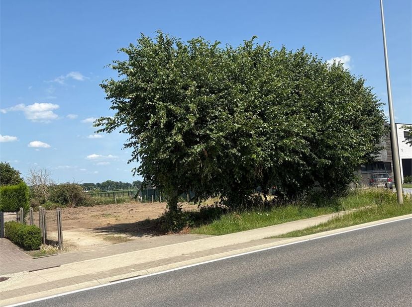 Terrain à vendre
                    à 3960 Bree