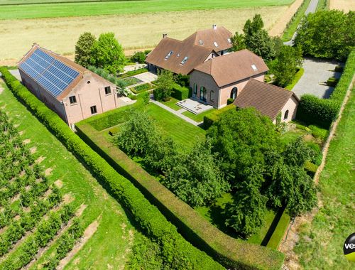                             Hoeve te koop in Sint-Truiden
