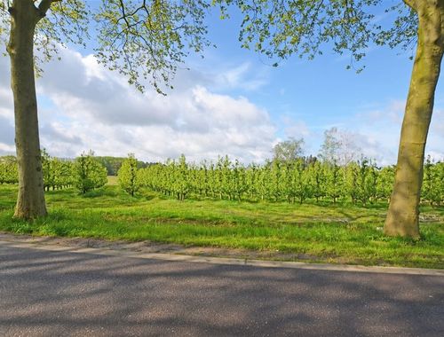                                         Terrain à bâtir à vendre à Hasselt, € 660.000
