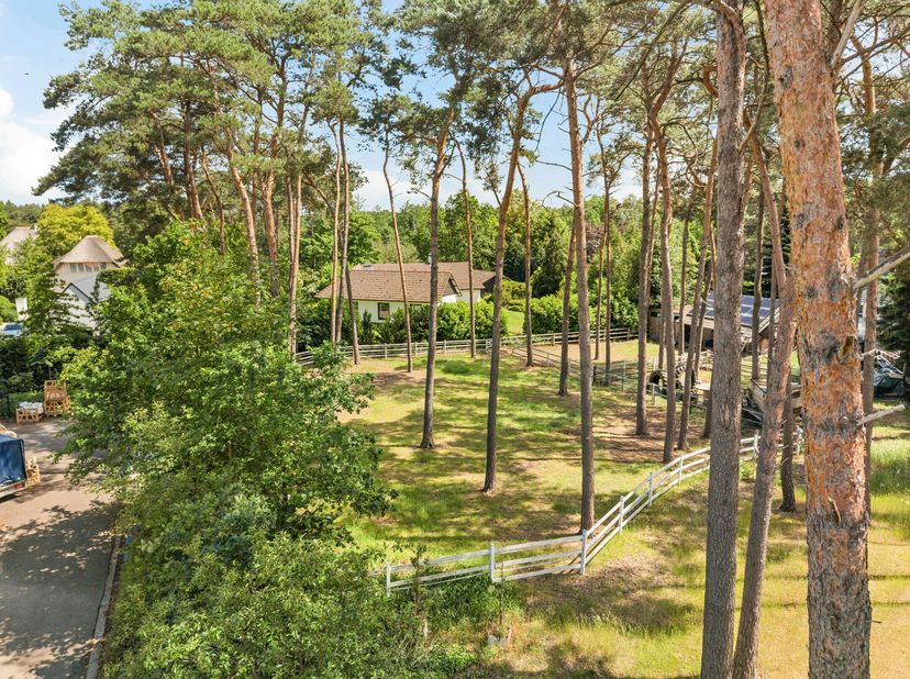 Bouwgrond in een bosrijke omgeving met een oppervlakte van 2.461 m² te Pelt (Grote Heide). Geschikt voor het oprichten van een open bebouwing voor één