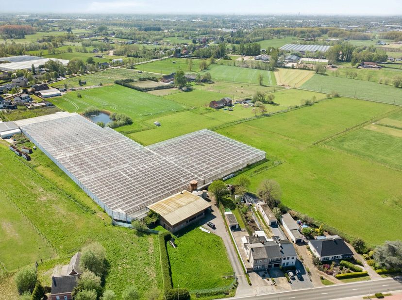 Unieke opportuniteit voor tuinbouw, landbouw of opslag gelegen aan Hoogstraat 344 te Duffel. Het eigendom omvat een omvangrijke serre-infrastructuur,
