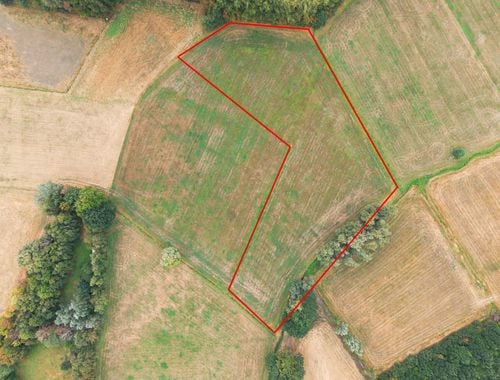                                         Landbouwgrond te koop in Putte, € 98.500
