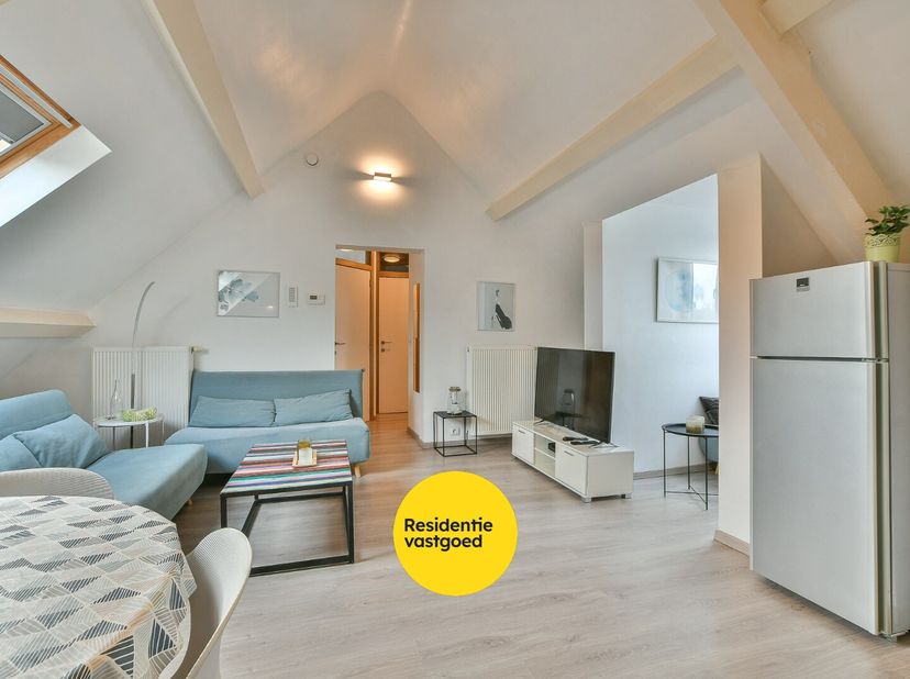 Op wandelafstand van het strand en de duinen bevindt zich dit charmante dakappartement in een karaktervol gebouw uit 1933, volledig gerenoveerd in 201