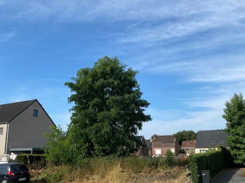 Terrain à vendre
                    à 3665 As