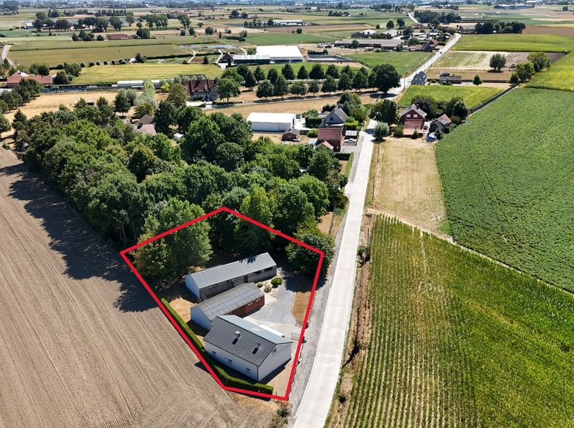 Langs de Herreweg in Zwevezele treffen we deze te renoveren woning op een perceel van 1506 m².<br />
Op het gelijkvloers bevindt zich een ruime woonka
