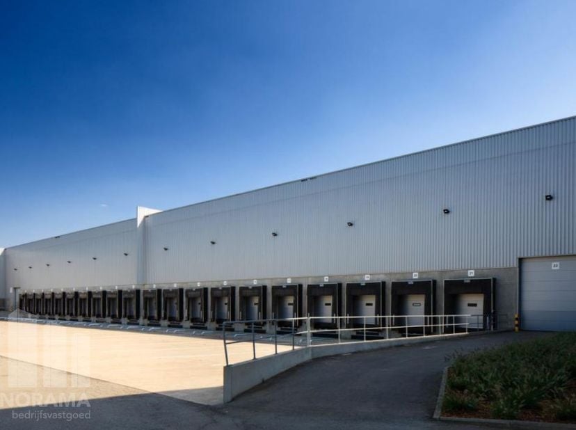Spacieux et modernes entrepôts logistiques bénéficiant d’une situation stratégique à Willebroek, le long du canal maritime Bruxelles-Willebroek et à p