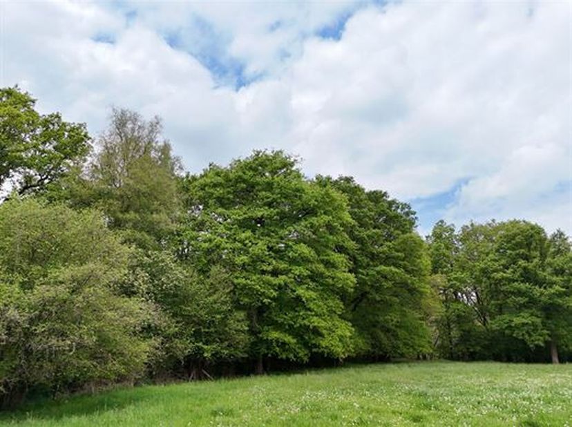 2 prachtige beboste gebieden van in totaal 19 Ha 16 a 73 ca.<br />
Ze bestaan voornamelijk uit eiken en andere loofbomen, evenals een populierenplanta