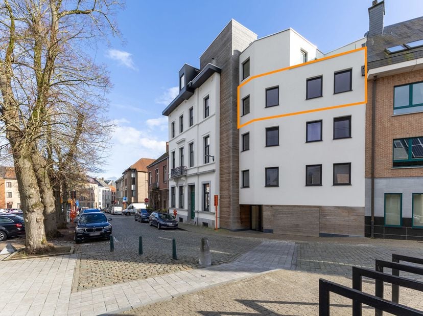 Appartement à louer à Oudstrijdersplein 17 boîte 31,
                    1500 Halle
