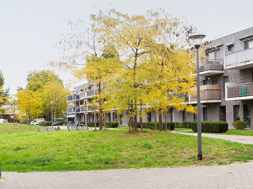 Dit appartement is gelegen in de kindvriendelijke en groene residentiële wijk, op een steenworp van het centrum van Hoboken en de stad Antwerpen. In d