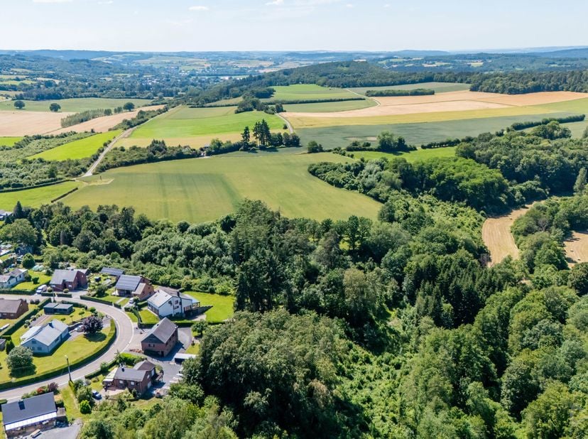 Terrain à vendre à Rue du Tchênet,
                    6927 Tellin