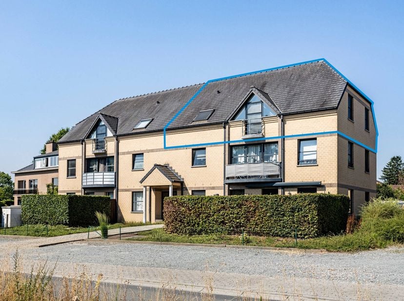 Pour une visite, contactez Saimen au 0470 79 24 20 ou par e-mail à saimen@cornelis-goeman.be.<br />
Vous recherchez un appartement prêt à emménager da