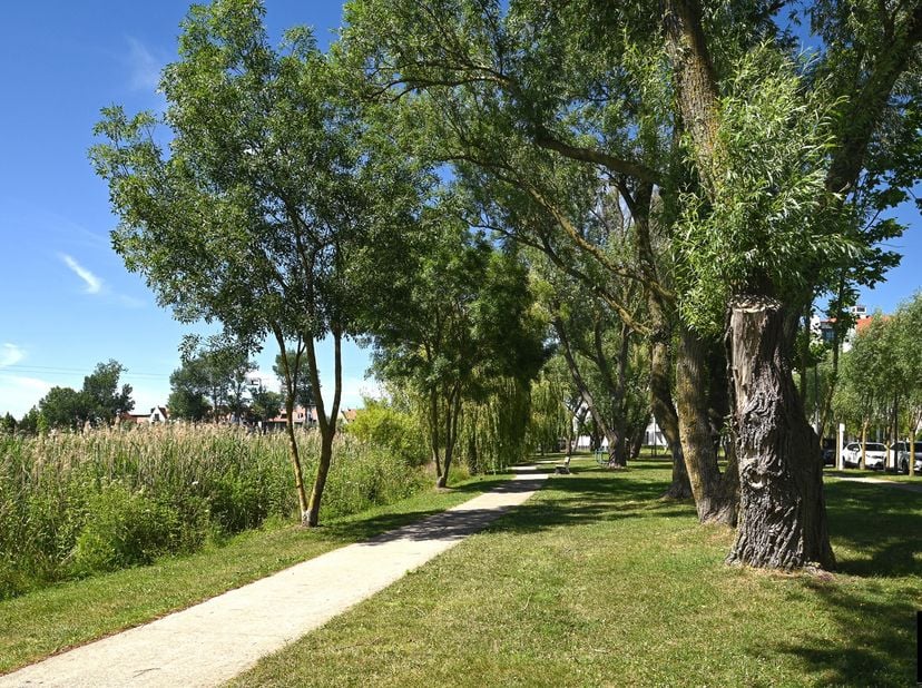 Découvrez ce magnifique appartement-jardin de plain-pied situé dans une résidence-villa à Duinenwater, bénéficiant d’un emplacement exceptionnel avec