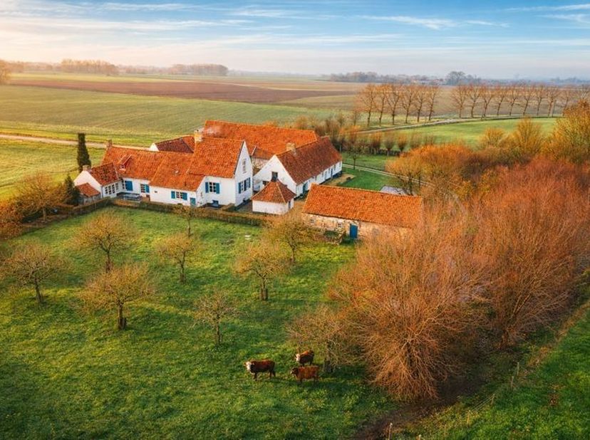Maison à vendre
                    à 8690 Alveringem