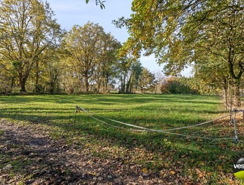                                         Prairie à vendre à Zonhoven, € 115.000
