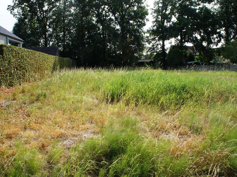 Bouwgrond van 771 m² voor open bebouwing te Oostmalle. <br />
<br />
Deze bouwgrond is geschikt voor het bouwen van een vrijstaande woning. <br />
