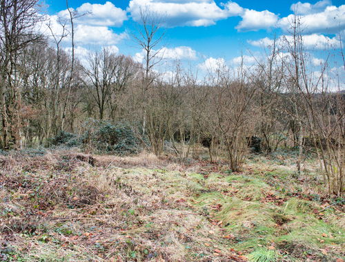                                         Terrain à bâtir à vendre à Hodister, € 134.000
