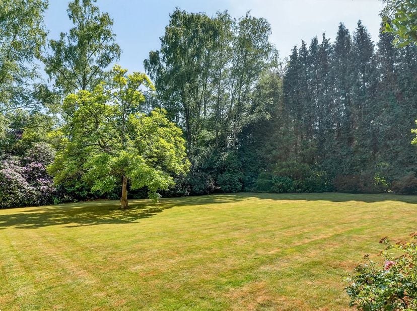 Victoire-Junot heeft het genoegen u deze prachtige villa met lift voor te stellen, ideaal gelegen op een zuidgericht perceel van ± 17,35 are, zonder i