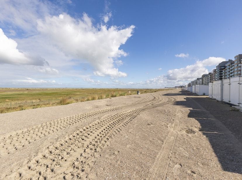 Knokke-Heist: Charmant en instapklaar 1-slaapkamerappartement te koop met open zicht op het groen en de iconische vuurtoren van Heist. Op zoek naar ee