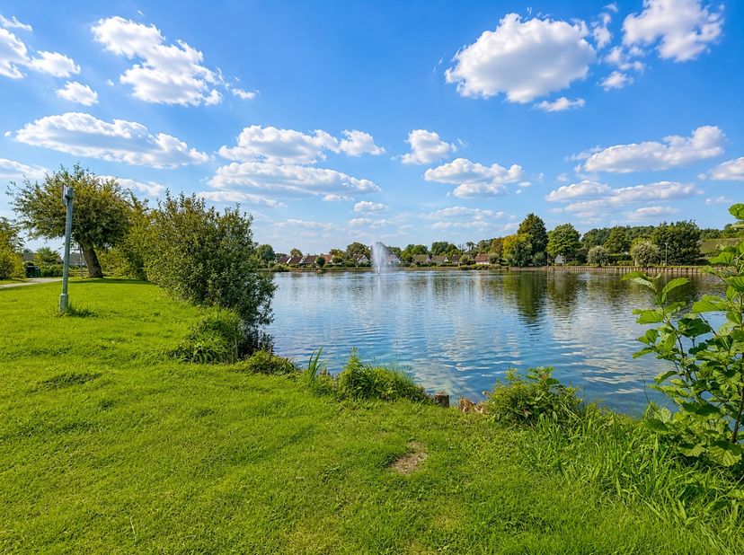Deze charmante op te frissen bungalow bevindt zich op een rustige ligging aan de westzijde van de vijver in het vakantiedomein Sunparks. Dankzij de ui