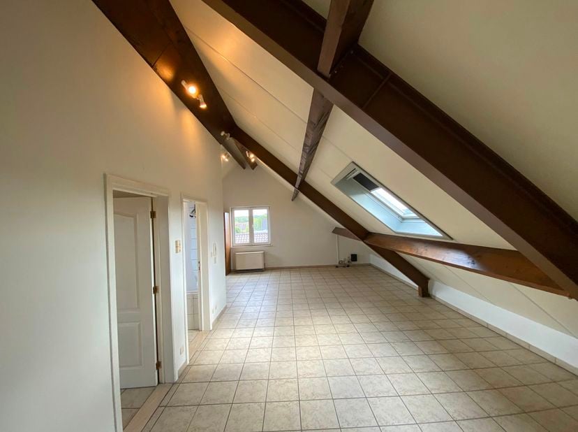 Gezellig appartement met topligging in Maaseik<br />
Op zoek naar een comfortabele woonst op een rustige locatie en dicht bij alle voorzieningen? Dan