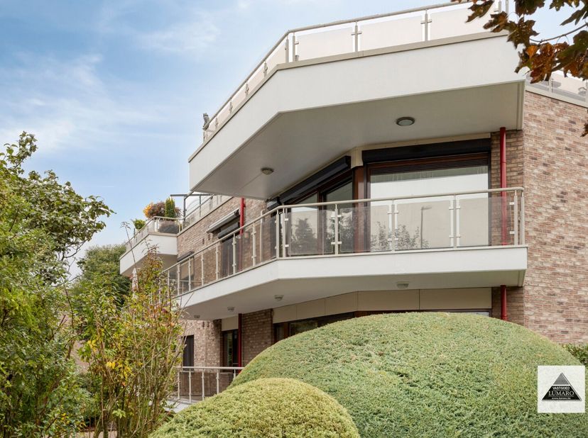 Super goed gelegen appartement aan de rand van het centrum van Maaseik, op wandelafstand van winkels en voorzieningen ligt dit royaal appartement. Teg