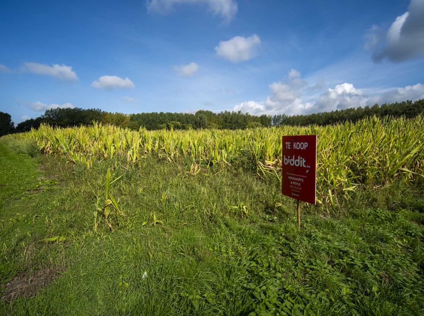 Grond te koop in Russelt,
                    3830 Wellen