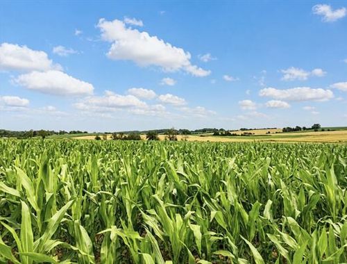                                         Landbouwgrond te koop in Haillot, € 417.000
