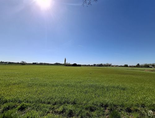                                         Terrain agricole à vendre à Sint-Katelijne-Waver, € 175.000
