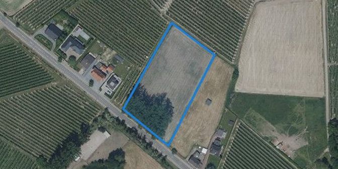Grond te koop in Nachtegaal, 3800 Zepperen