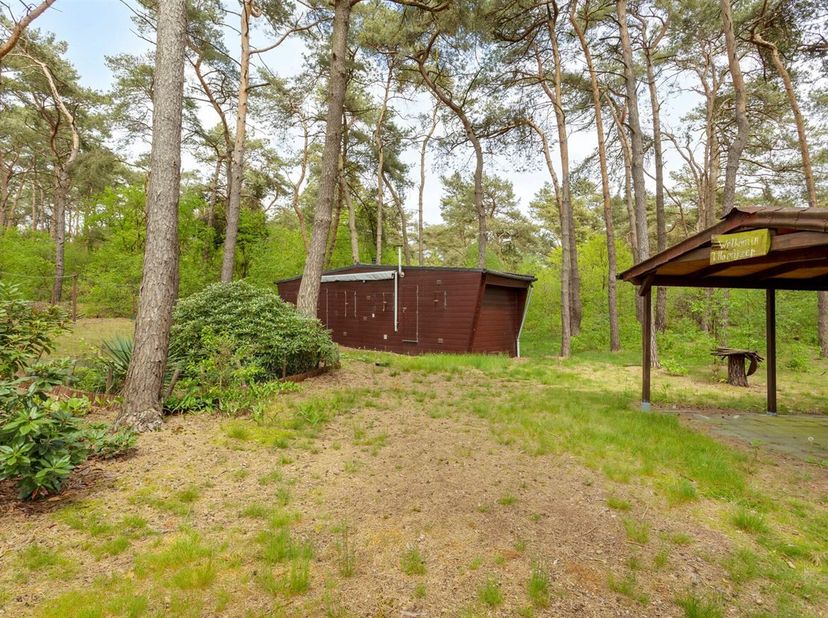 Rustig gelegen caravan op perceel van 1.135m² in Balen<br />
Omschrijving:<br />
Geniet van de rust en de prachtige natuur op deze recreatiegrond. Hie