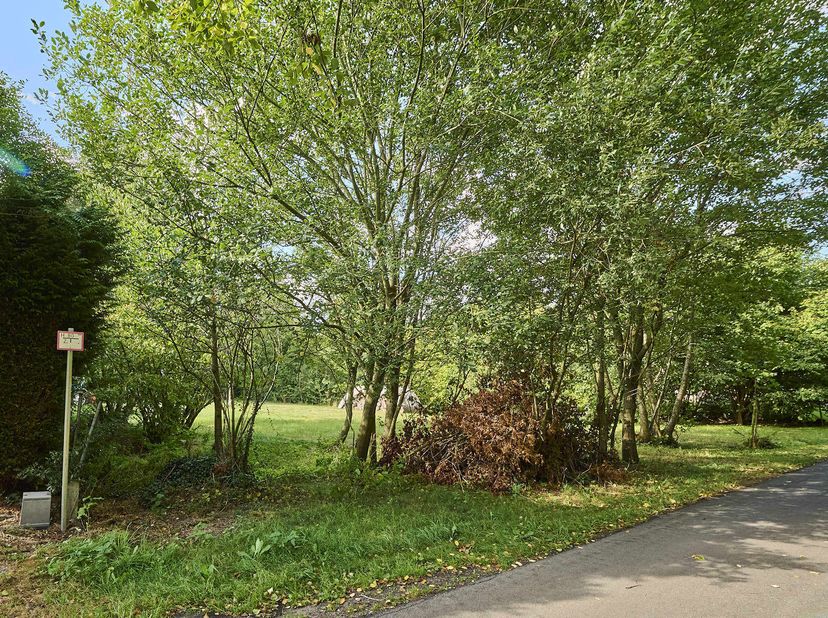 Terrain à vendre
                    à 3990 Wijchmaal